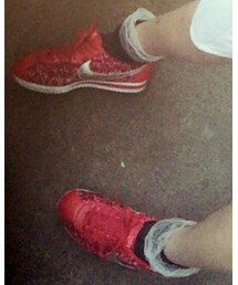 靴下屋 | ソックス/靴下