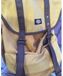 Dickies | ボディバッグ/ウエストポーチ
