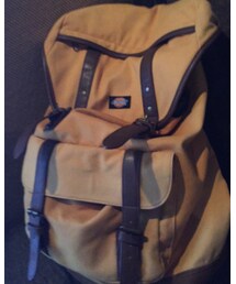 Dickies | ボディバッグ/ウエストポーチ