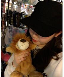 태형ライオン欲しかった… | その他