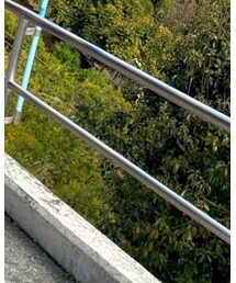 Happy Socks | ソックス/靴下