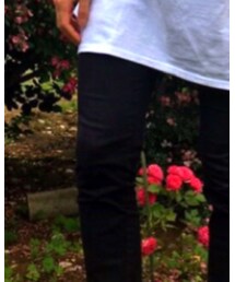 UNIQLO | チノパンツ