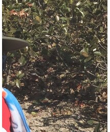 Saturdays NYC | キャップ