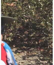 H&M | サングラス