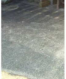 GOSTAR DE FUGA | ドレスシューズ