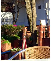 BARNEYS NEWYORK | シャツ/ブラウス