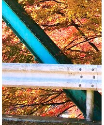 GOSTAR DE FUGA | スラックス