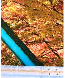 GOSTAR DE FUGA | トレンチコート