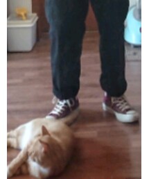CONVERSE ADDICT | シューズ