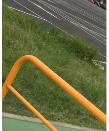 MICHAEL KORS | Tシャツ/カットソー