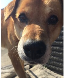 山田くん♡ | 福袋/福箱