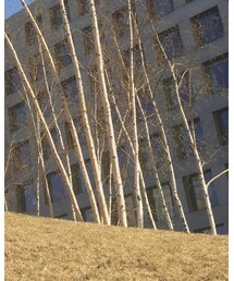 FOREVER 21 | ワンピース