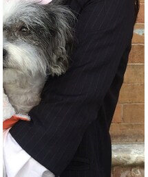 JACQUEMUS | スーツジャケット