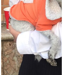 MHL. | シャツ/ブラウス