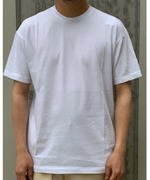 AURALEE | Tシャツ/カットソー