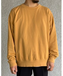 AURALEE | Tシャツ/カットソー