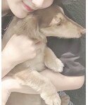 うちのわんこの「その他(その他)」