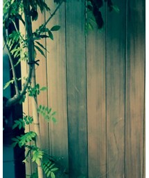 BEAUTY&YOUTH UNITED ARROWS | ライダースジャケット