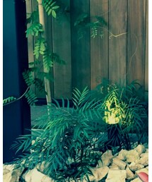 FRAPBOIS | デニムパンツ