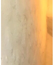 POLO RALPH LAUREN | トップス