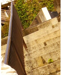 KNOT | アナログ腕時計