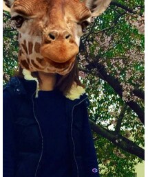 ZARA | ダウンベスト