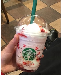 starbacks | その他