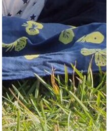 mina perhonen | 食器/キッチン