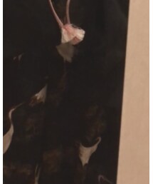 FOREVER 21 | パンツ