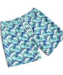 Franks | Franks/フランクス Daintree SSB177(水着)