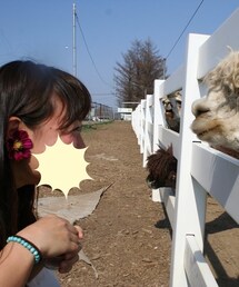 no brand | お花イヤリング(イヤリング)