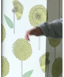 ZARA KIDS | スウェット