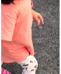 Champion | Tシャツ/カットソー