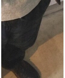 POLO RALPH LAUREN | スラックス