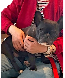 ソチ　♀ 6歳 | その他