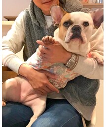 みたらし　♀ 4歳 | その他