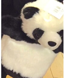 🐼 | その他小物
