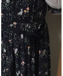 franchelippee | ワンピース