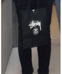 STUSSY | Tシャツ/カットソー