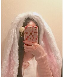 うさぎぃ | その他