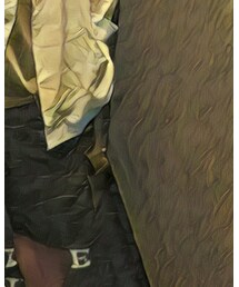 Nigel Cabourn | カーゴパンツ