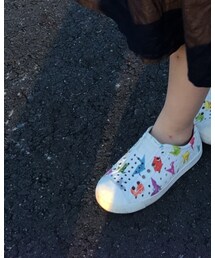 Native | シューズ