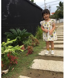 GLOBAL WORK | ワンピース