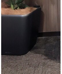 tutuanna | ソックス/靴下