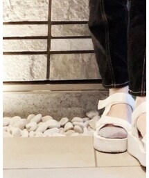 tutuanna | ソックス/靴下