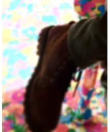 Timberland | ブーティ