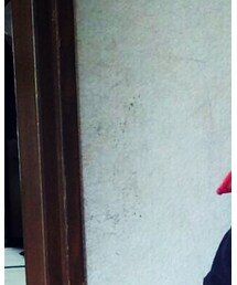 願原力與我同在 | その他