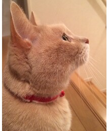 昨日のベストショット♥️ | その他