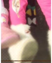 apres les cours | ブーツ