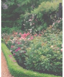 no brand | その他